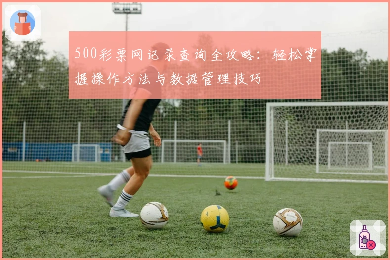 500彩票网记录查询全攻略：轻松掌握操作方法与数据管理技巧