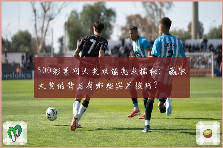 500彩票网大奖功能亮点揭秘:赢取大奖的背后有哪些实用技巧?